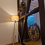 Waldzeit In Hahnenklee-mit Hund Goslar