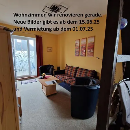 Waldzeit In Hahnenklee-mit Hund
