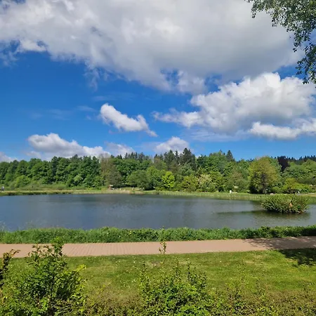 Waldzeit In Hahnenklee-mit Hund Apartment Goslar