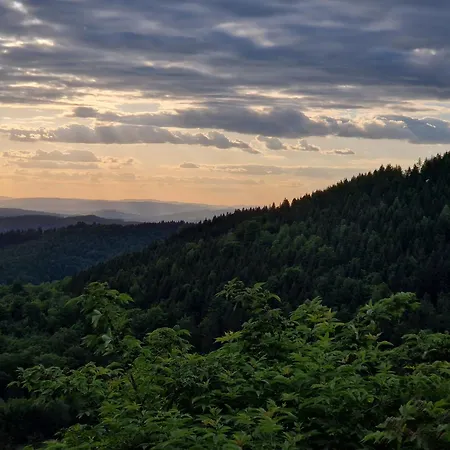 Апартаменты Waldzeit In Hahnenklee-mit Hund *