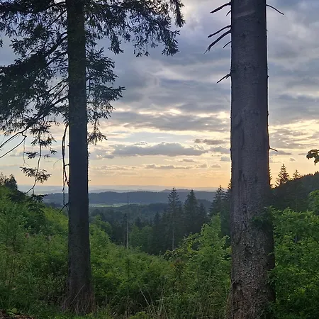 Waldzeit In Hahnenklee-mit Hund Apartment Goslar