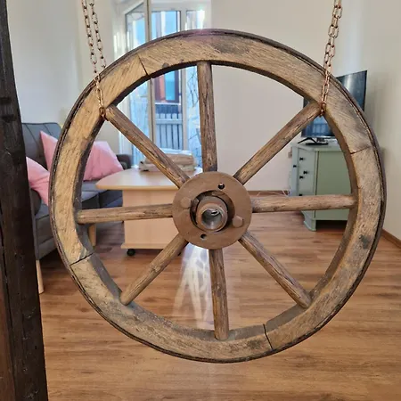 Waldzeit In Hahnenklee-mit Hund Goslar