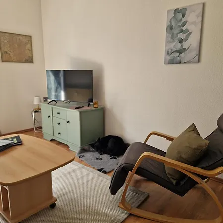 Waldzeit In Hahnenklee-mit Hund *