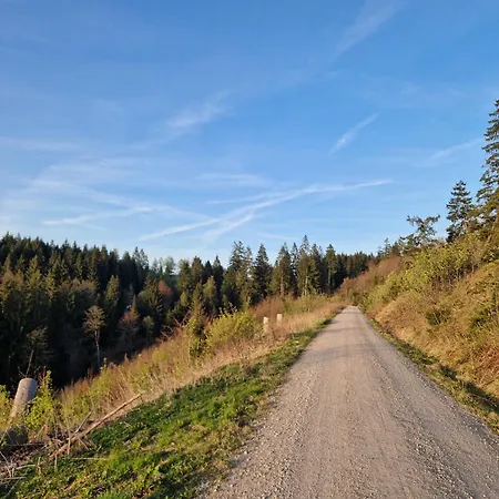 Waldzeit In Hahnenklee-mit Hund Апартаменты Гослар