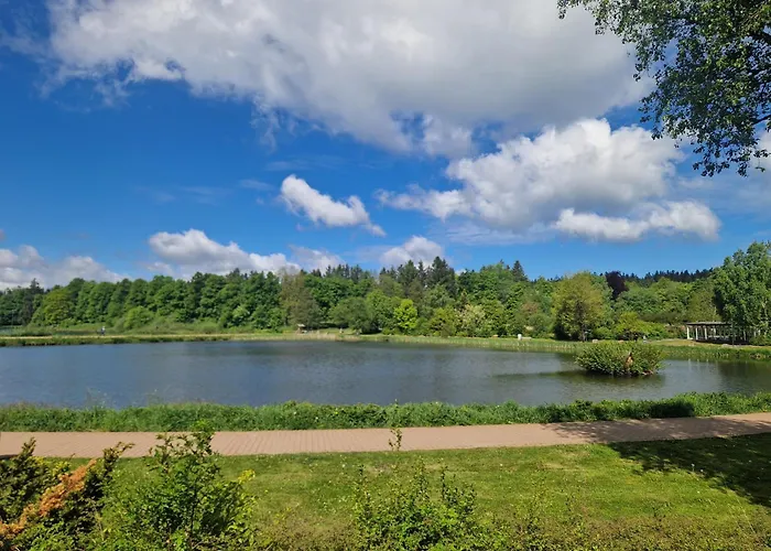 Waldzeit In Hahnenklee-mit Hund 公寓 戈斯拉尔