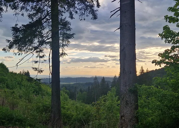 Waldzeit In Hahnenklee-mit Hund 公寓 戈斯拉尔