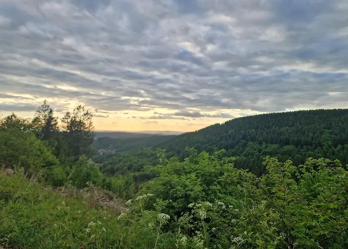 公寓 Waldzeit In Hahnenklee-mit Hund 戈斯拉尔