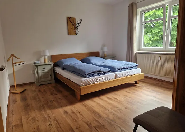 Waldzeit In Hahnenklee-mit Hund 戈斯拉尔