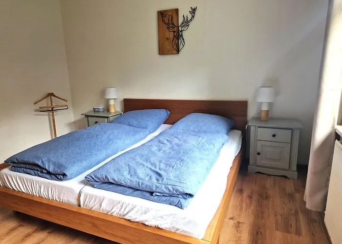 公寓 Waldzeit In Hahnenklee-mit Hund *