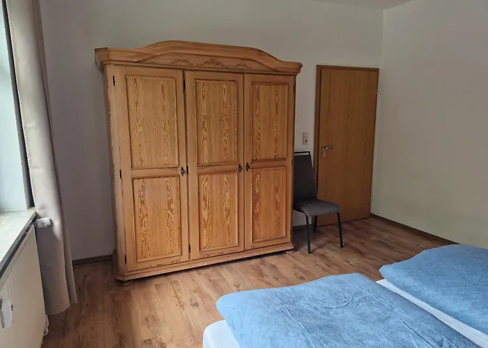 Waldzeit In Hahnenklee-mit Hund