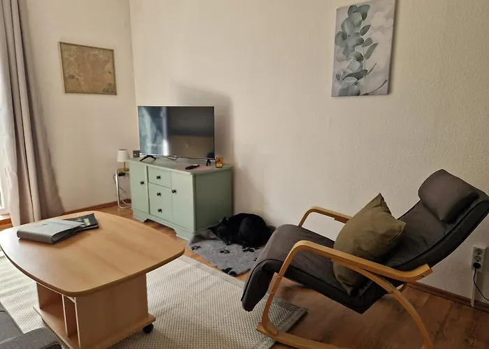 Waldzeit In Hahnenklee-mit Hund *