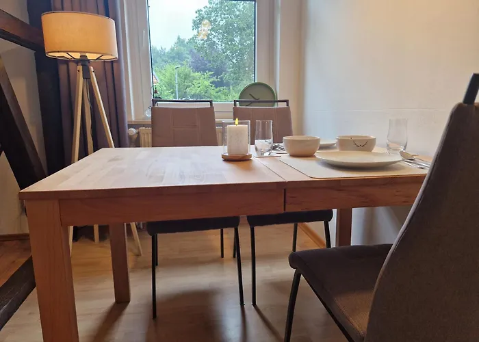 Waldzeit In Hahnenklee-mit Hund *